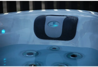 PassionSpa Desire hot tub – stylish design, black and grey speaker, blue Passion logo