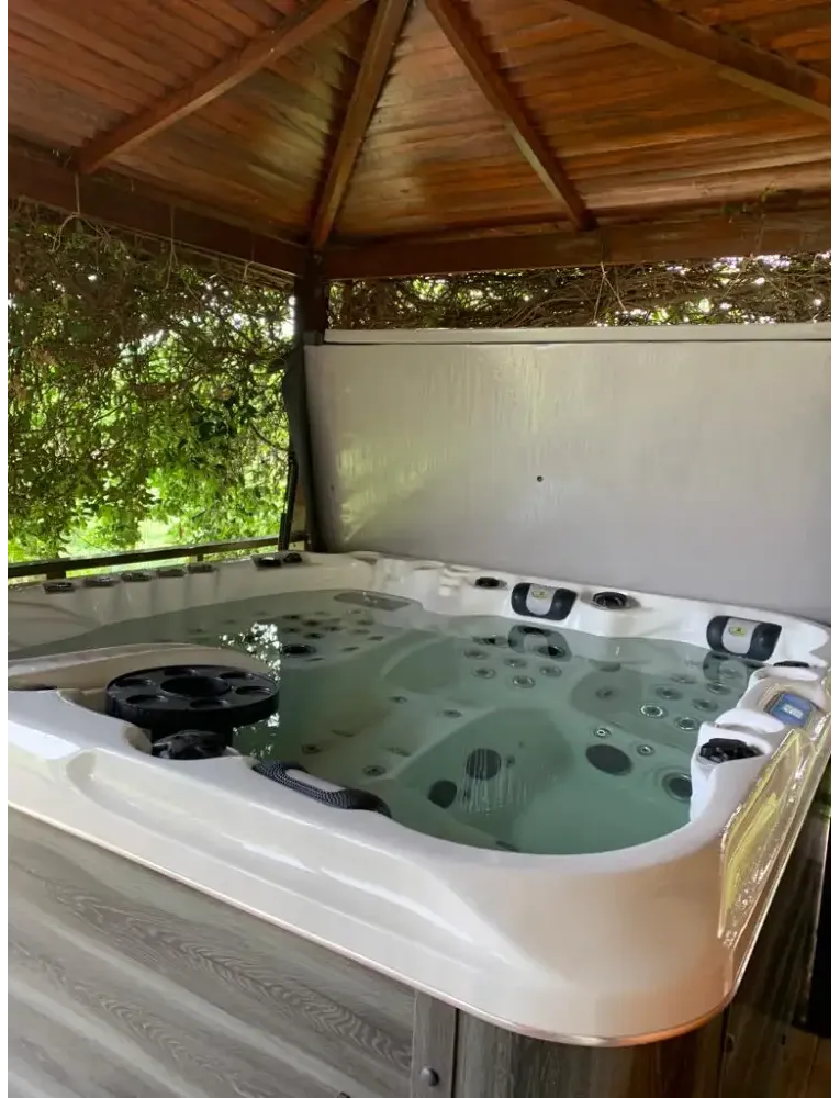 PassionSpa Euphoria Mighty Wave hot tub – cream-coloured finish, black massage jets, wooden floor