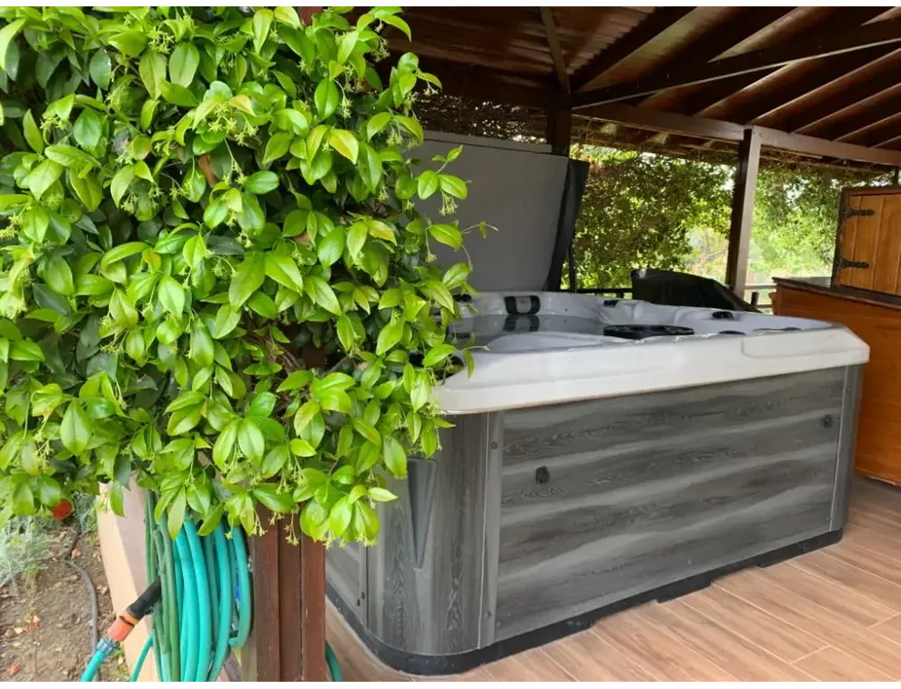 PassionSpa Euphoria Mighty Wave hot tub – grey wood-effect finish, white edge