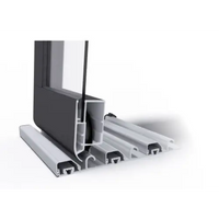 Silver aluminium fönsterprofil med svart ram och klar kanalplast för Modernt pooltak smart