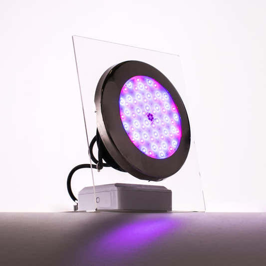 Moonlight LED Pool Lamp with Flange Ring