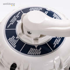 PPG Sand Filter with Top or Side Valve